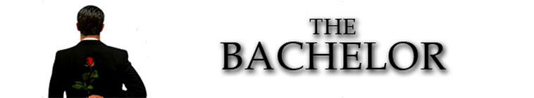 The Bachelor