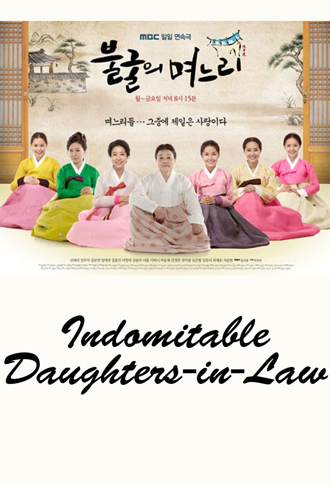 Indomitable Daughters-in-Law - TV Show Poster