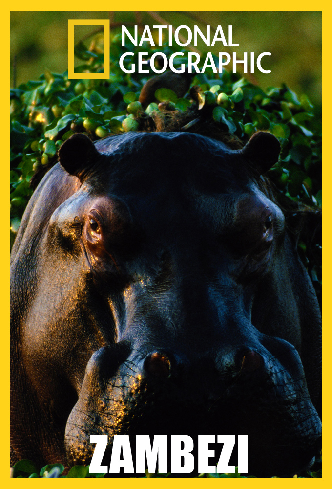 Zambezi - TV Show Poster