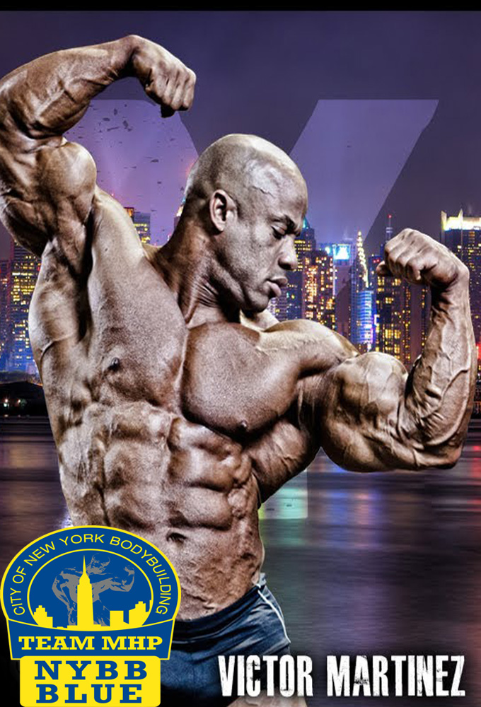 NYBB Blue - TV Show Poster