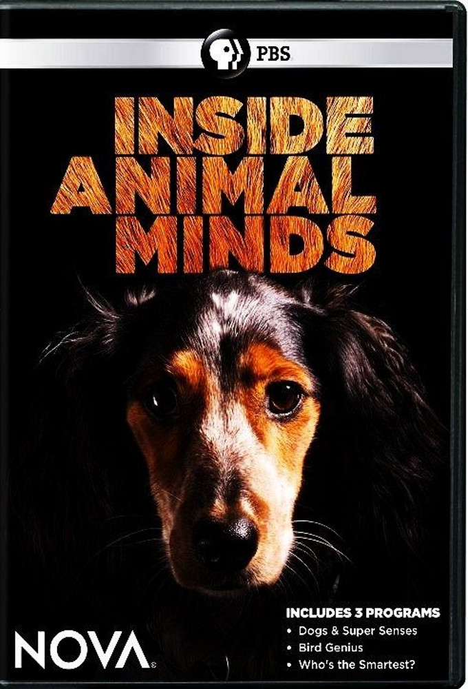Inside Animal Minds - TV Show Poster