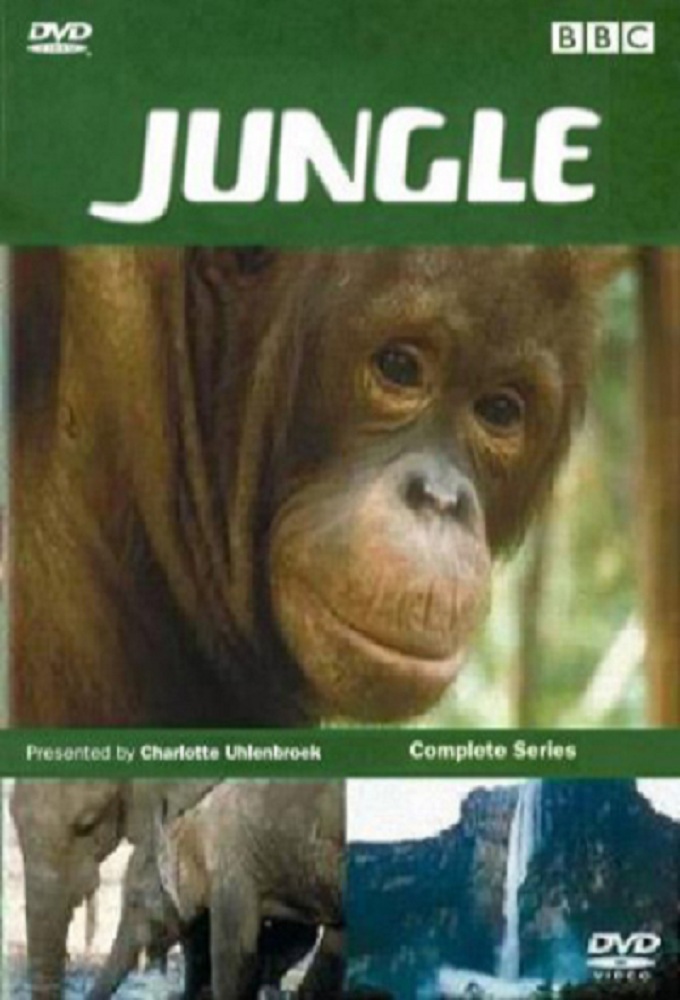 Jungle - TV Show Poster