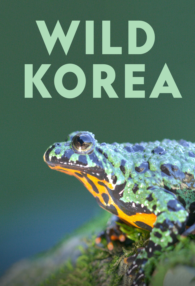 Wild Korea - TV Show Poster