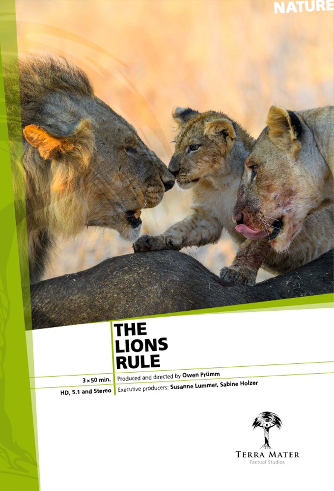 The Lions Rule - TV Show Poster