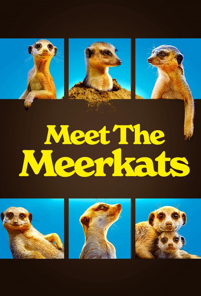 Meet The Meerkats - TV Show Poster